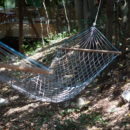 Ekinoks - Adults Only ベッド・アンド・ブレックファスト Çıralı