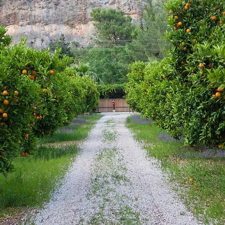 Ekinoks - Adults Only Çıralı