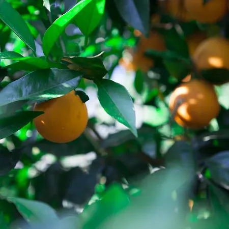 Ekinoks - Adults Only Couette-café 4*