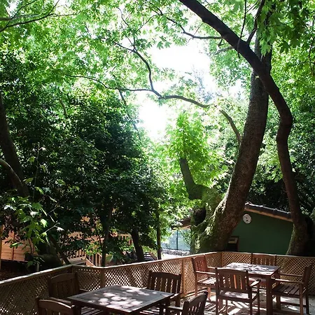 Ekinoks - Adults Only Couette-café Çıralı