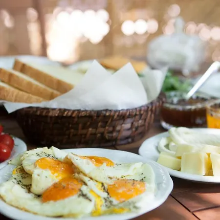Bed & Breakfast Ekinoks