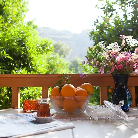 Couette-café Ekinoks - Adults Only Çıralı