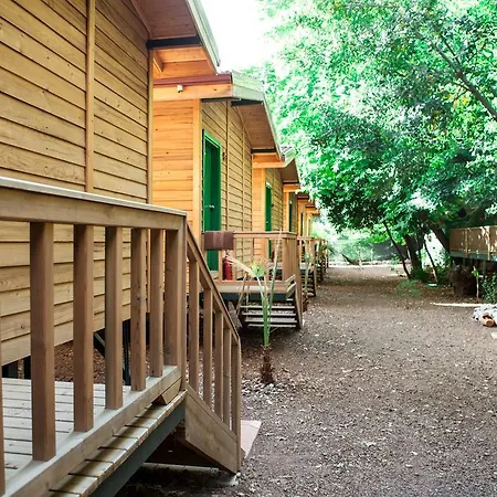 B&B Ekinoks - Adults Only Çıralı