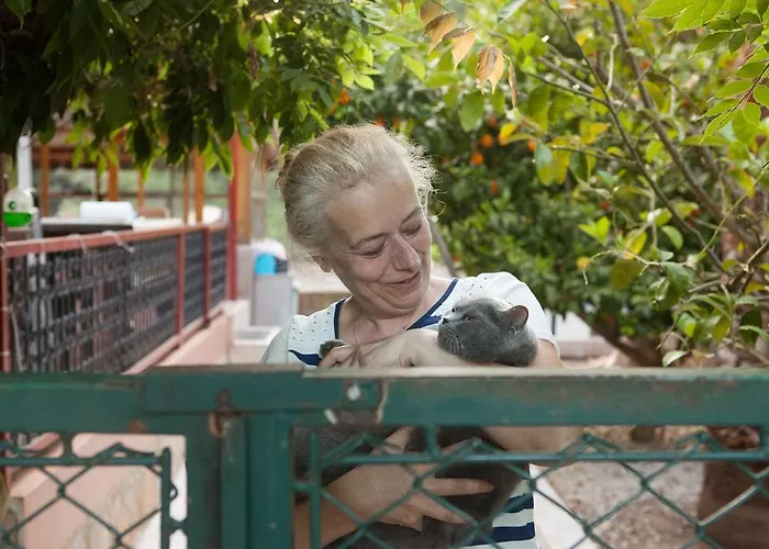 Ekinoks - Adults Only Отель типа 